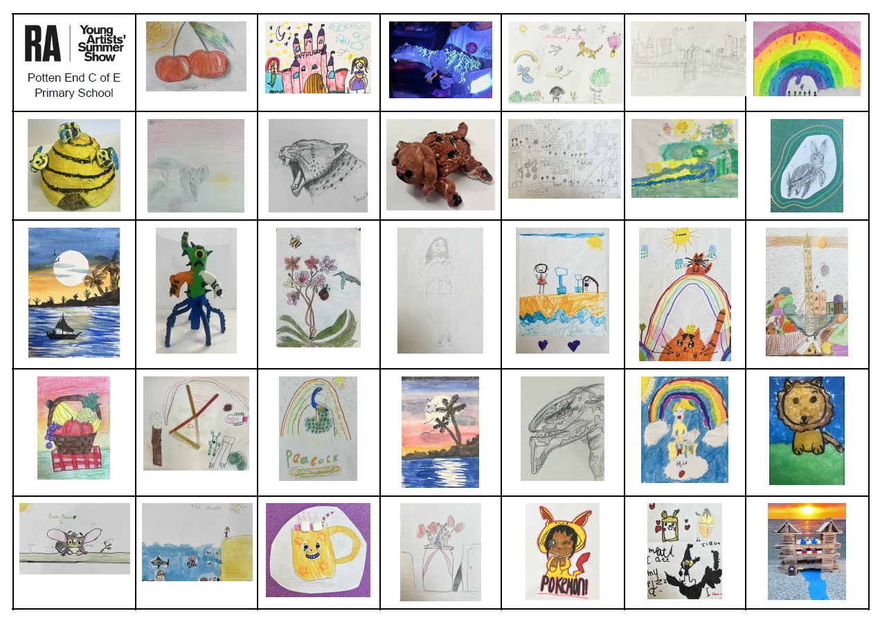 RA Young Artists Summer Show Potten End Competition Entries
