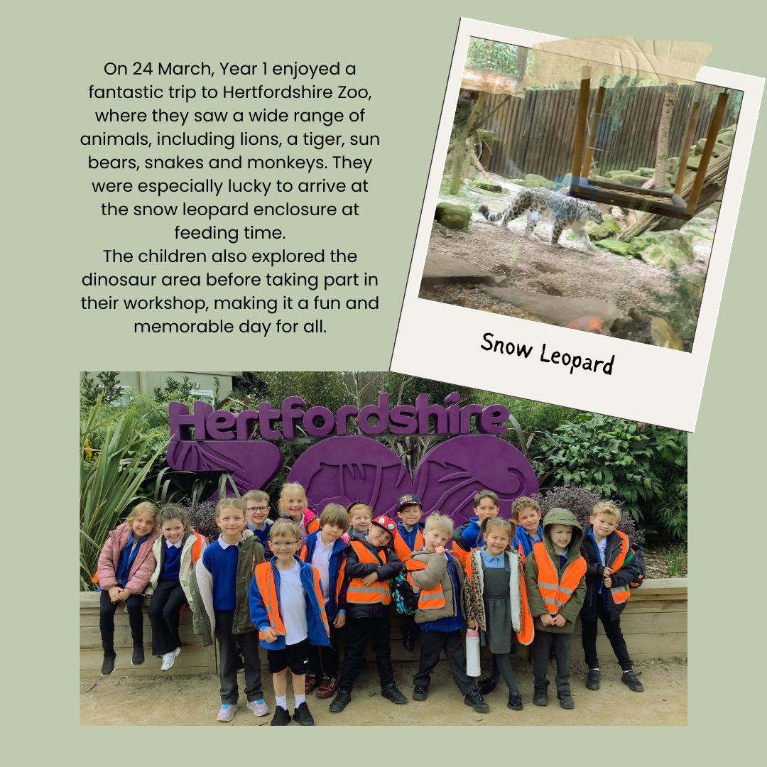 Hertfordshire Zoo Trip